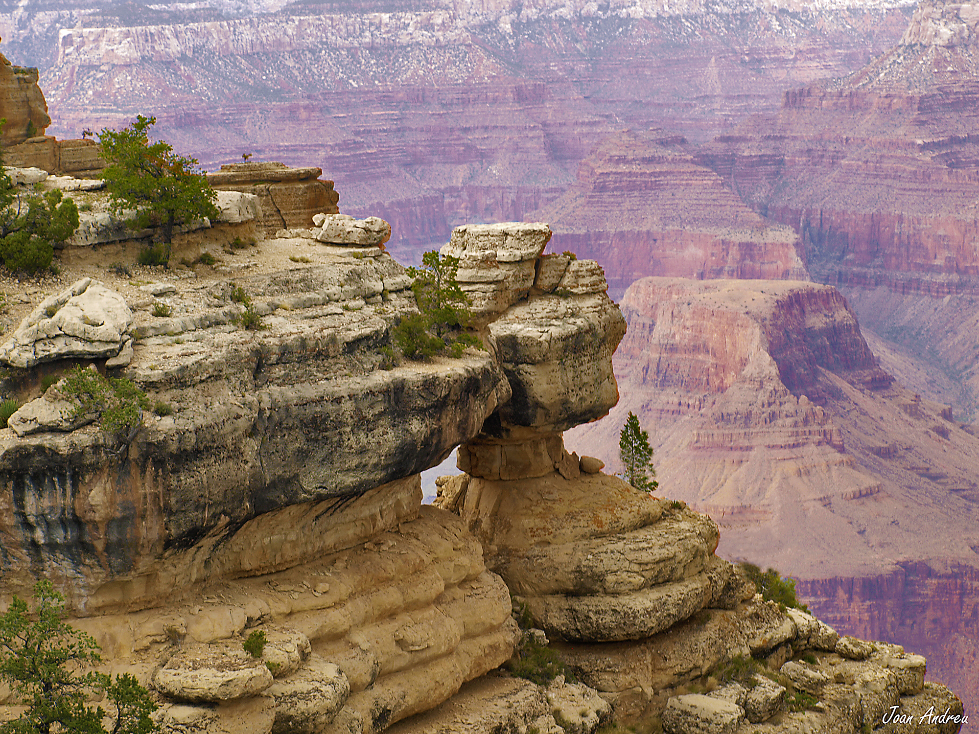 Grand Canyon des del Trailview Overlook